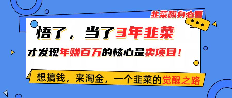 悟了，当了3年韭菜，才发现网赚圈年赚100万的核心是卖项目，含泪分享！-我要呀资源酷