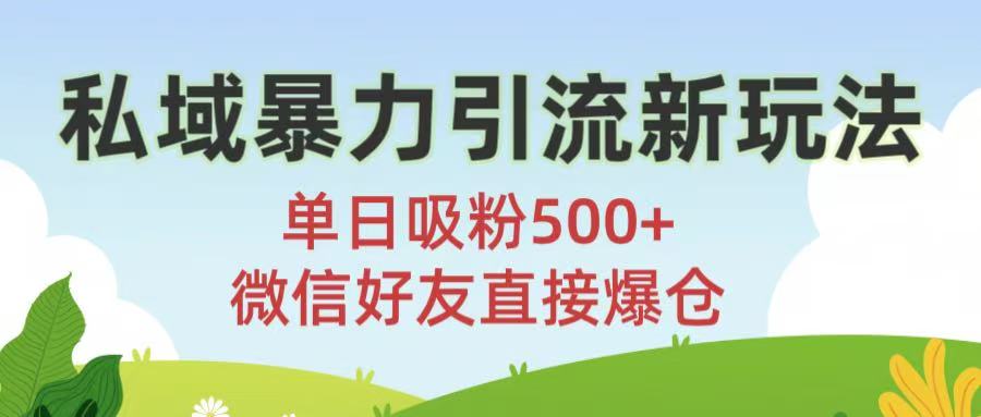 私域暴力引流新玩法!单日吸粉500+，微信好友直接爆仓-我要呀资源酷
