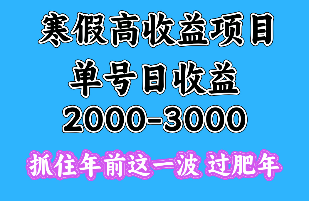 寒假期间一天收益2000-3000+,抓住年前这一波-我要呀资源酷
