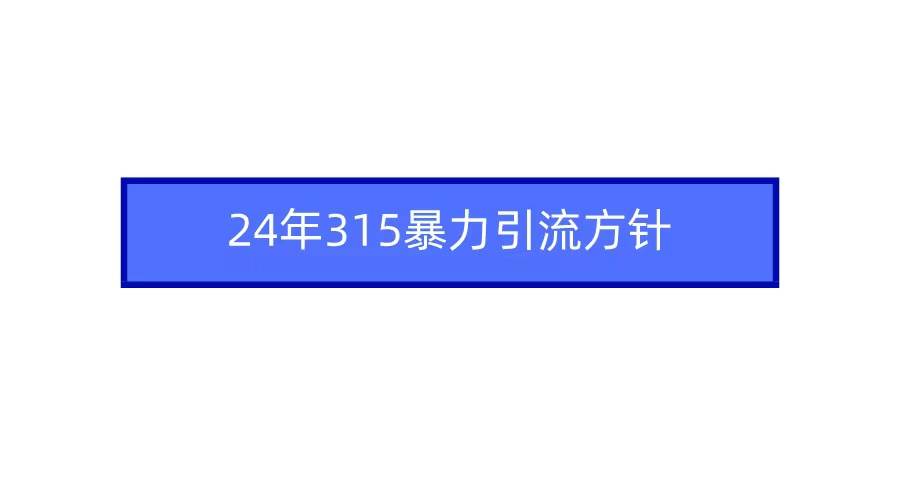 2024年315暴力引流方针-我要呀资源酷