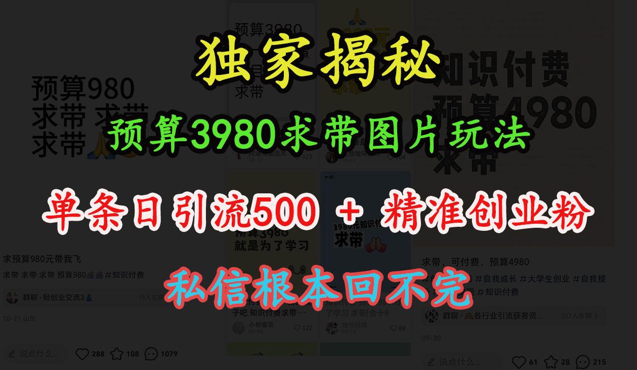 “小红书”预算3980求带 图片玩法,单条日引流500+精准创业粉,私信根本回不完-我要呀资源酷