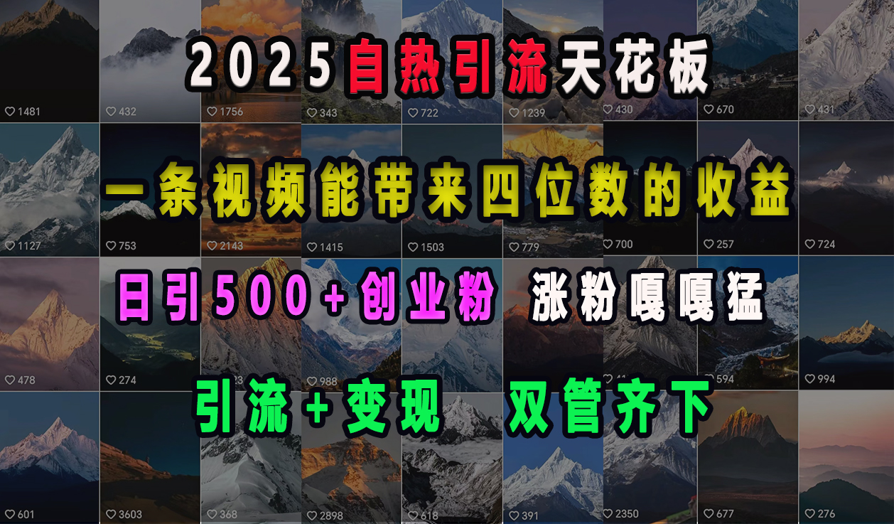 2025自热引流天花板,一条视频能带来四位数的收益,引流+变现双管齐下,日引500+创业粉,涨粉嘎嘎猛-我要呀资源酷