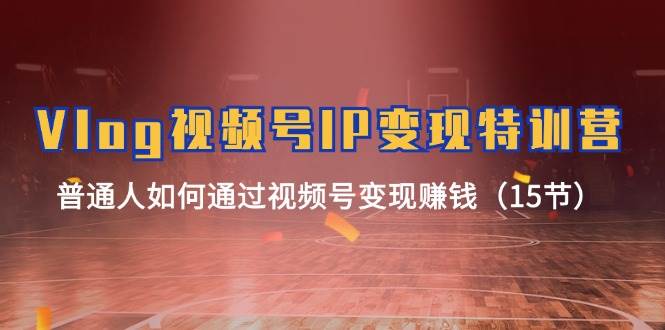 Vlog 视频号IP变现特训营，普通人如何通过视频号变现赚钱（15节）-我要呀资源酷