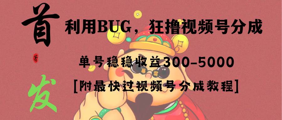 全网独家首发，视频号BUG，超短期项目，单号每日净收益300-5000！-我要呀资源酷