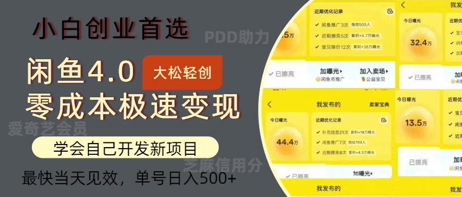 闲鱼0成本极速变现项目，多种变现方式，单号日入500+最新玩法-我要呀资源酷