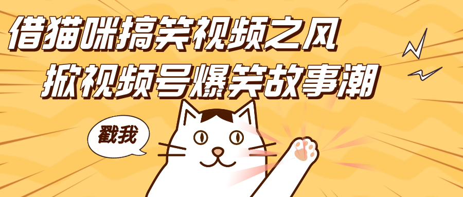 借猫咪搞笑视频之风,掀视频号爆笑故事潮,轻松日赚四位数,开启无门槛赚钱新体验!-我要呀资源酷