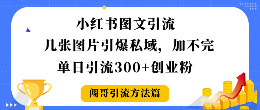小红书图文引流，几张图片引爆私域加不完，单日引流300＋创业粉-我要呀资源酷