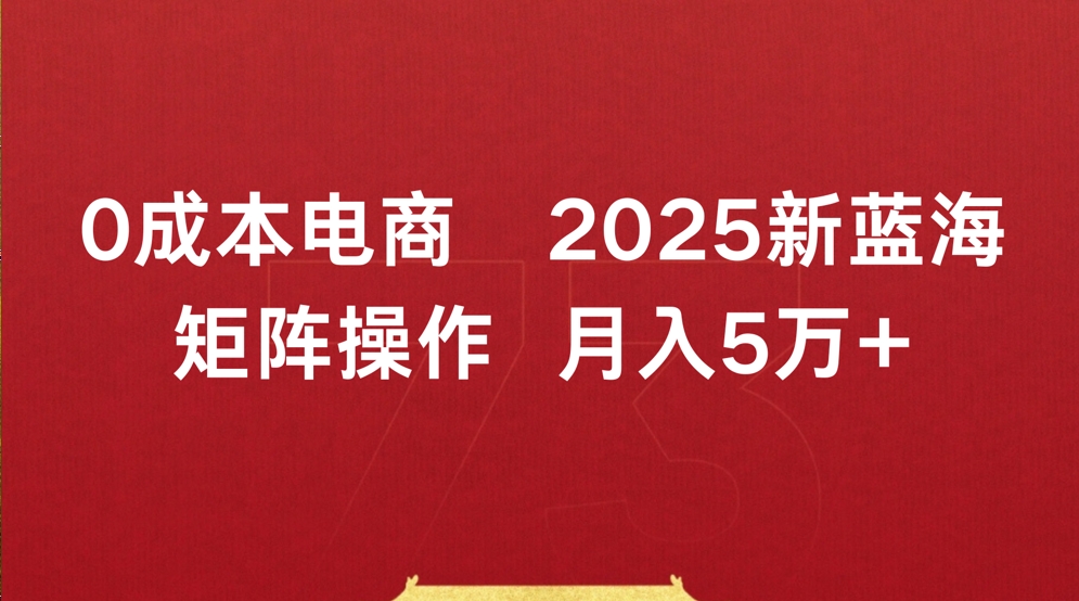 0成本电商2025新蓝海矩阵操作 月入5万+-我要呀资源酷
