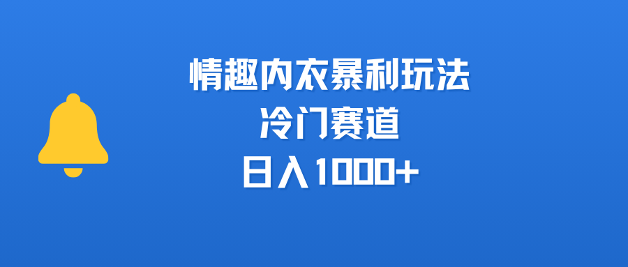 情趣内衣暴利玩法,冷门赛道,日入1000+-我要呀资源酷