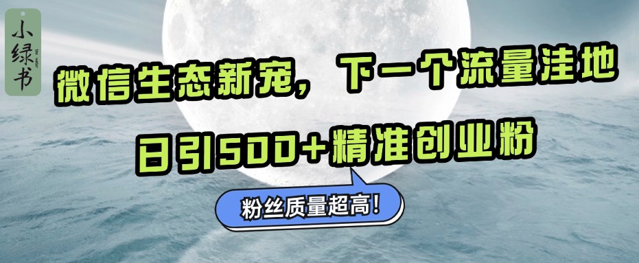 微信生态新宠小绿书：下一个流量洼地，粉丝质量超高，日引500+精准创业粉，-我要呀资源酷
