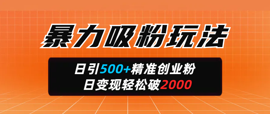 暴力吸粉玩法，日引500+精准创业粉，日变现轻松破2000-我要呀资源酷