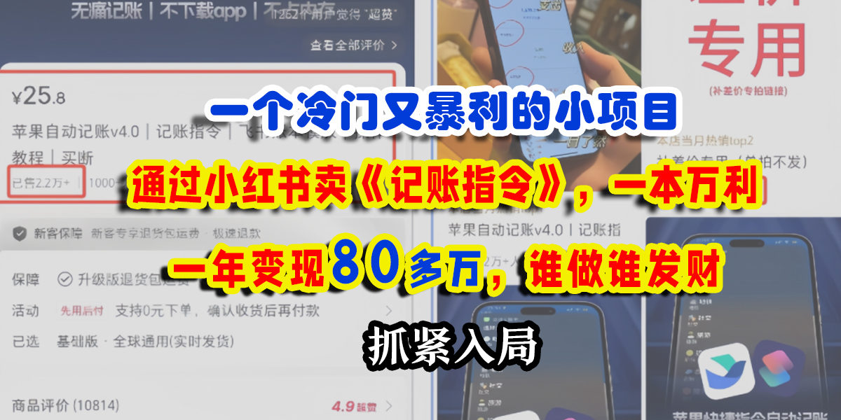 一个冷门又暴利的小项目,通过小红书卖《记账指令》,一本万利,一年变现80多万,谁做谁发财-我要呀资源酷