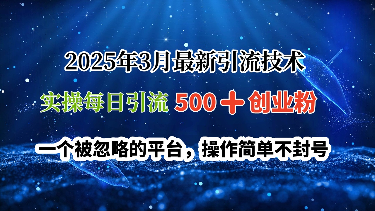 2025年3月最新引流技术，实操每日引流500➕创业粉，一个被忽略的平台，操作简单不封号-我要呀资源酷