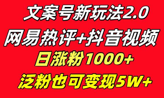 文案号新玩法 网易热评+抖音文案 一天涨粉1000+ 多种变现模式 泛粉也可变现-我要呀资源酷