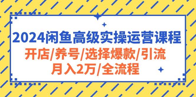 2024闲鱼高级实操运营课程：开店/养号/选择爆款/引流/月入2万/全流程-我要呀资源酷