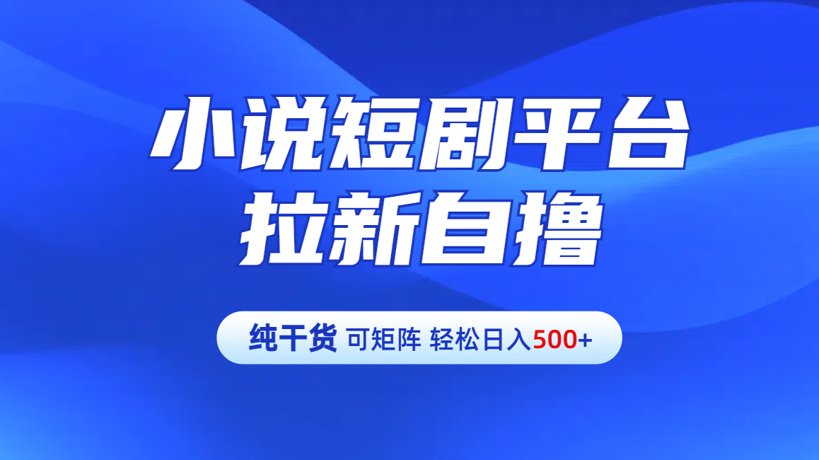 【纯干货】小说短剧平台拉新自撸玩法详解-单人轻松日入500+-我要呀资源酷