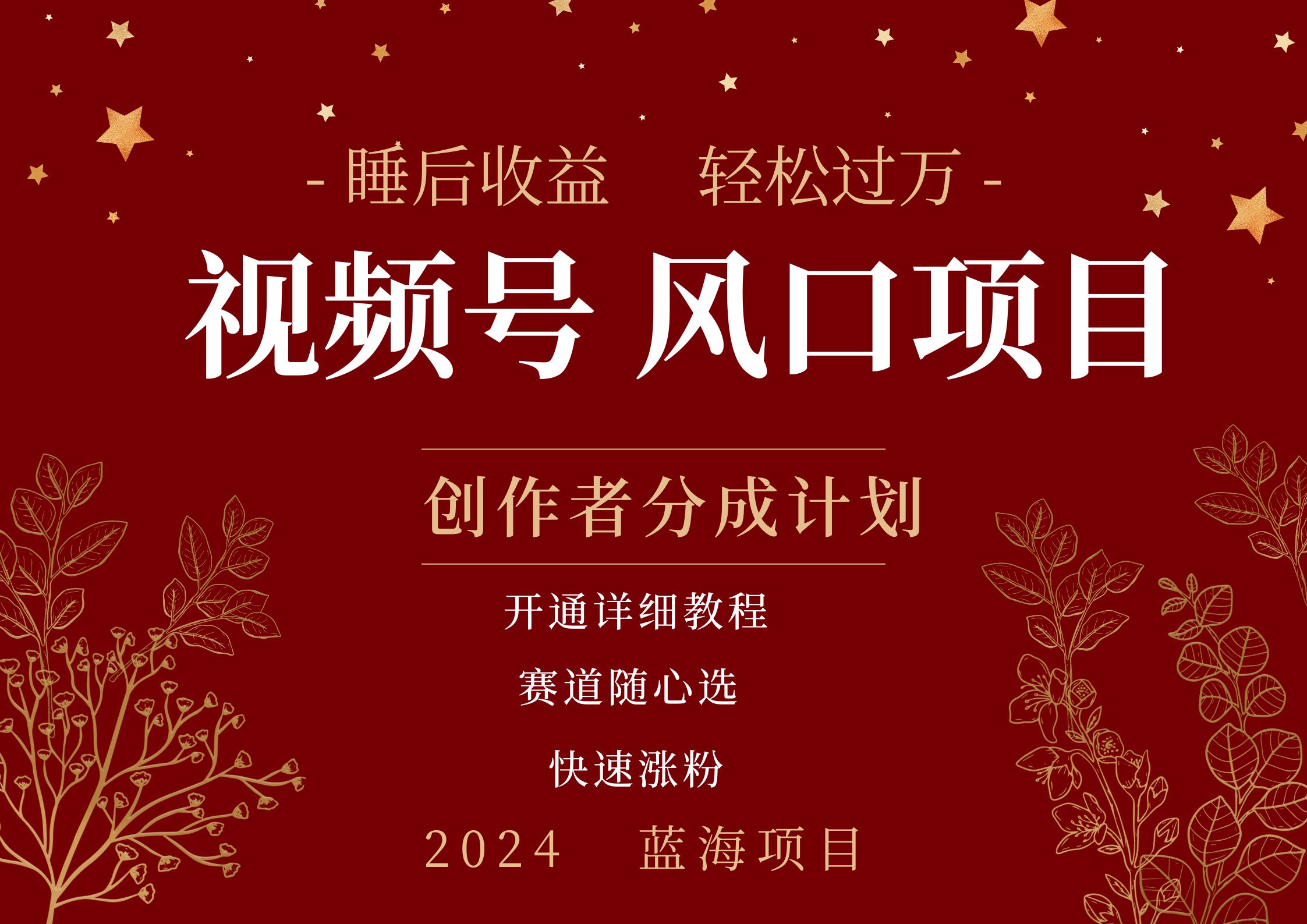 拥有睡眠收益的微信视频号大风口项目,轻松月入过万+,多赛道选择,可矩阵,玩法简单轻松上手-我要呀资源酷