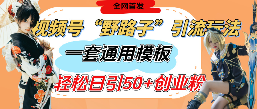 视频号“野路子”玩法，评论区疯狂截流，一套模板单日单号引流50+创业粉-我要呀资源酷