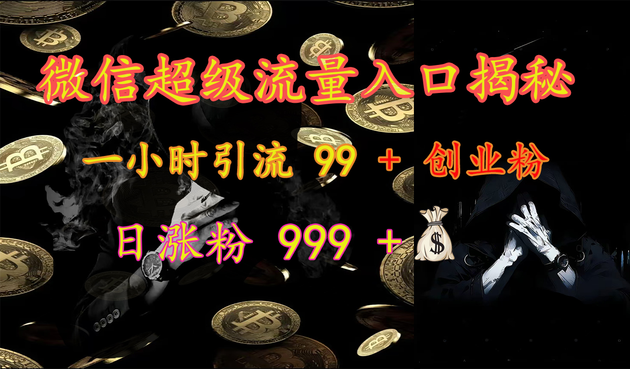 微信超级流量入口揭秘:一小时引流 99 + 创业粉,日涨粉 999 +【揭秘】-我要呀资源酷