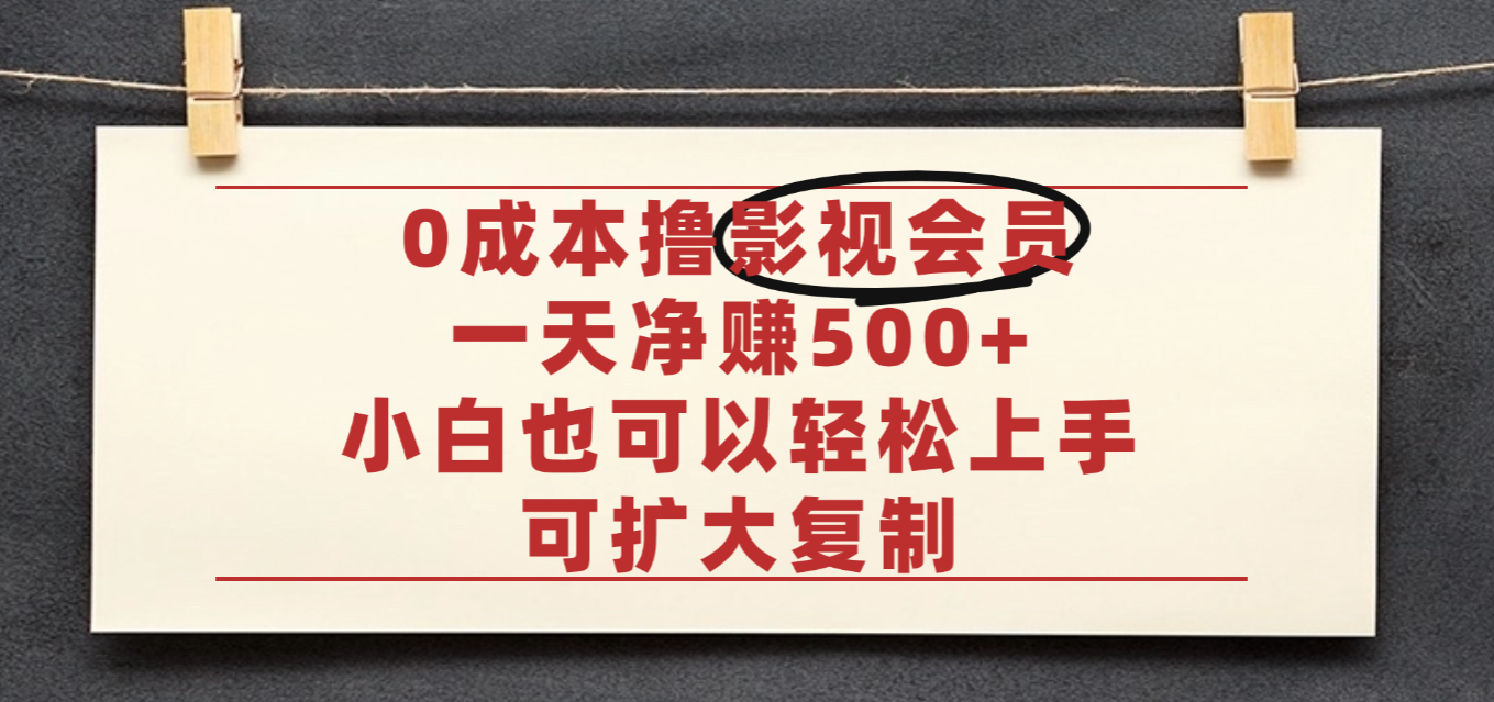 亲测，0成本可批量操作，靠卖影视会员实测月入30000+-我要呀资源酷