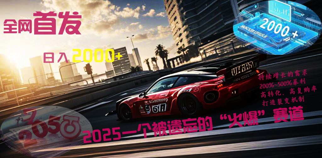 全网首发：2025一个被遗忘的“火爆”赛道轻松日入2000+-我要呀资源酷