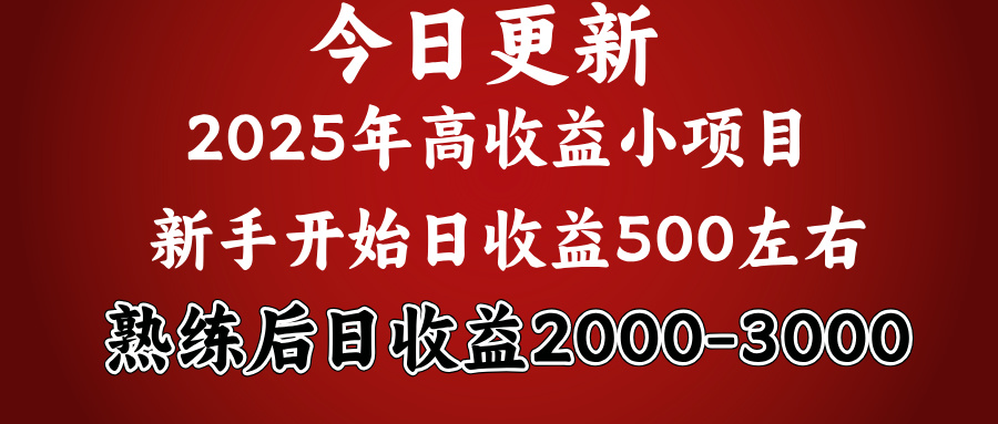 2025开年好项目，新手日收益500+ 熟练掌握后，日收益平均2000多-我要呀资源酷