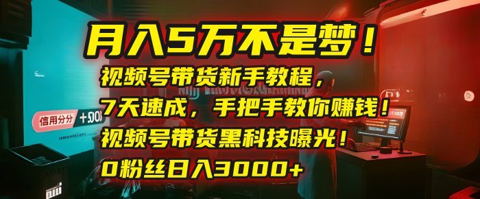 月入5万不是梦!视频号带货新手教程,7天速成,手把手教你赚钱!视频号带货黑科技曝光!0粉丝日入3000+-我要呀资源酷