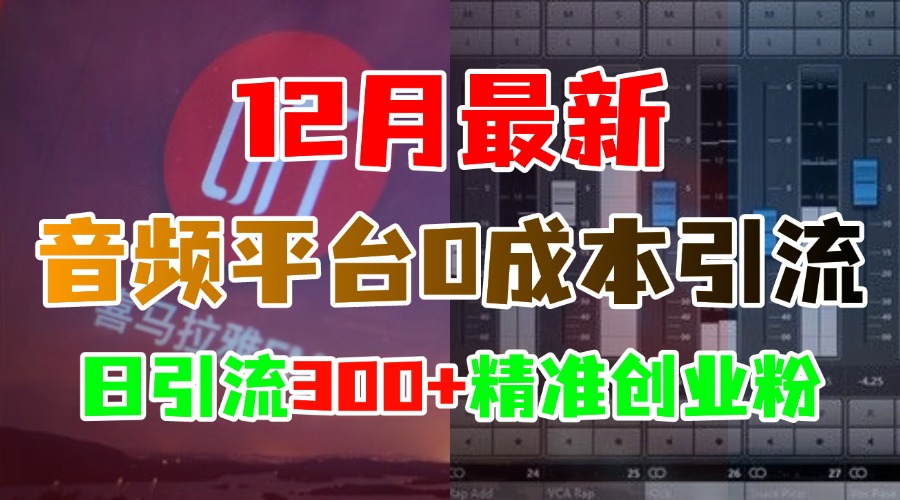 12月最新：音频平台0成本引流，日引300+精准创业粉-我要呀资源酷