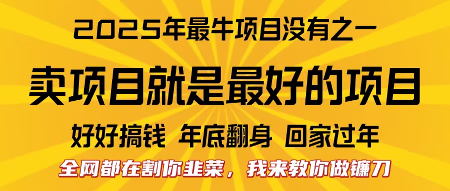 全网都在割你韭菜,我来教你做镰刀。卖项目就是最好的项目,2025年最牛互联网项目-我要呀资源酷