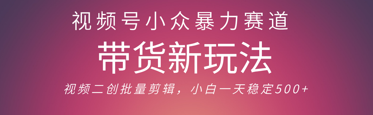 视频号小众暴力赛道，最新带货玩法 小白也能轻松日入500+ 保姆及教程-我要呀资源酷