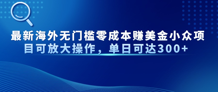 最新海外无门槛美金小众项目可放大操作，单日可达300+-我要呀资源酷