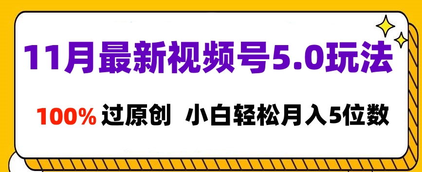 11月最新视频号5.0玩法，100%过原创，小白轻松月入5位数-我要呀资源酷