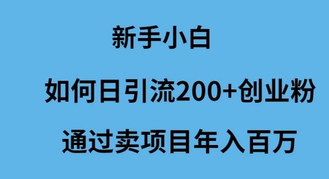 新手小白如何日引流200+创业粉通过卖项目年入百万-我要呀资源酷