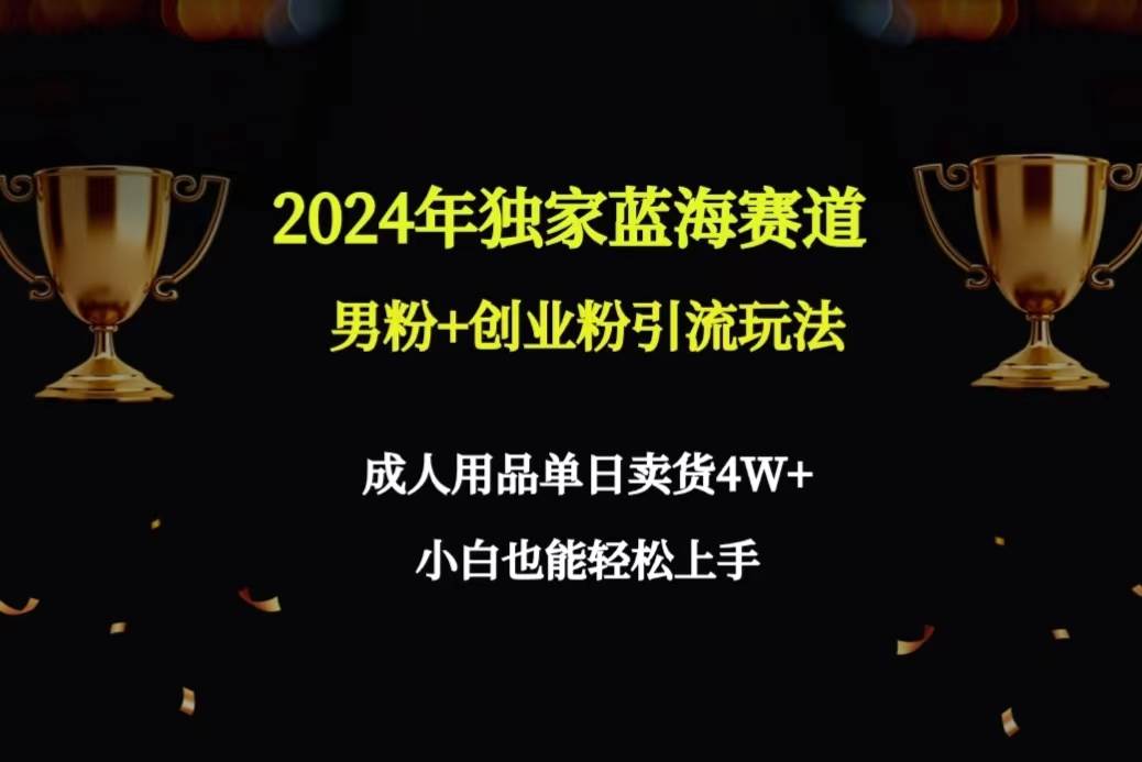 2024年独家蓝海赛道男粉+创业粉引流玩法，成人用品单日卖货4W+保姆教程-我要呀资源酷