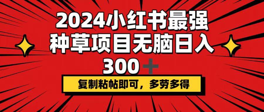2024小红书最强种草项目，无脑日入300+，复制粘帖即可，多劳多得-我要呀资源酷