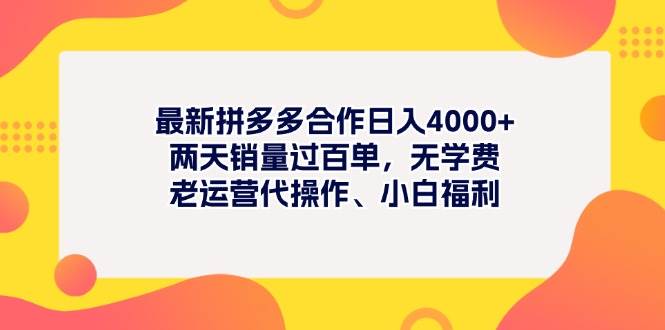 最新拼多多项目日入4000+两天销量过百单，无学费、老运营代操作、小白福利-我要呀资源酷