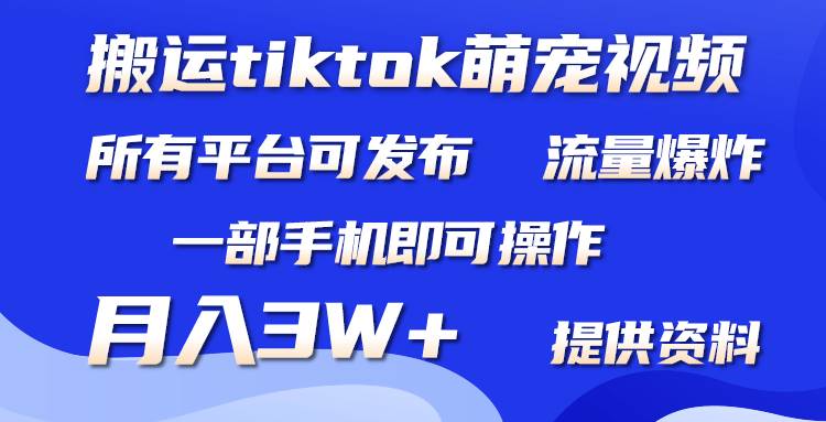 搬运Tiktok萌宠类视频，一部手机即可。所有短视频平台均可操作，月入3W+-我要呀资源酷