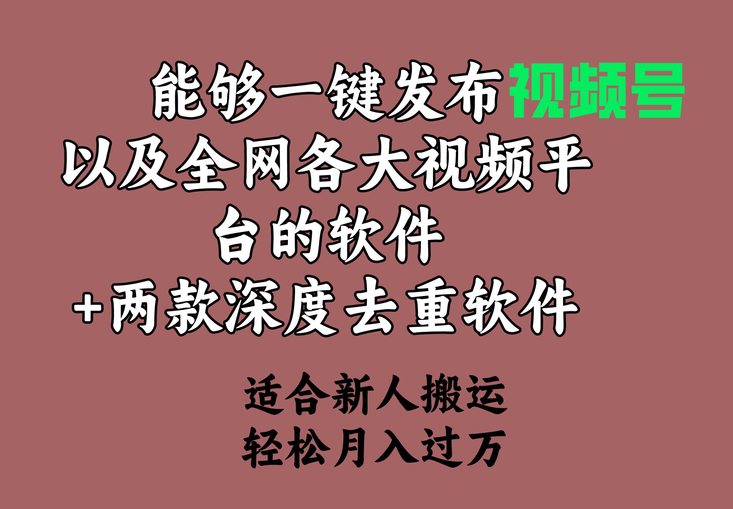 能够一键发布视频号以及全网各大视频平台的软件+两款深度去重软件 适合…-我要呀资源酷