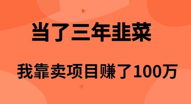 当了3年韭菜，我靠卖项目赚了100万-我要呀资源酷