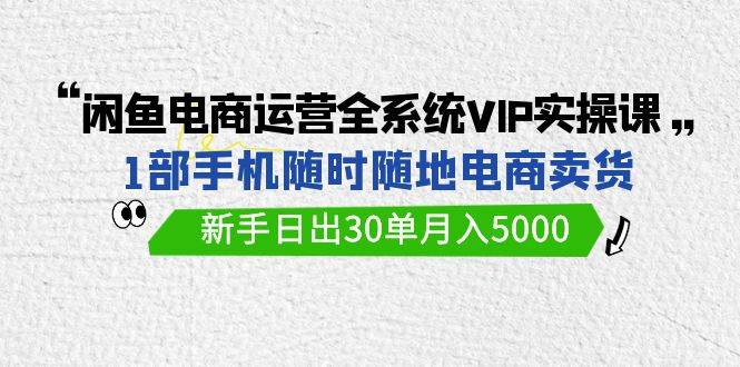 闲鱼电商运营全系统VIP实战课，1部手机随时随地卖货，新手日出30单月入5000-我要呀资源酷