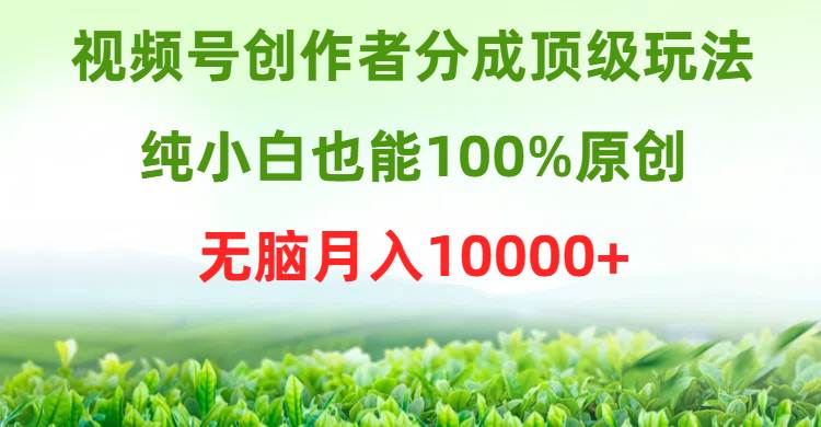 视频号创作者分成顶级玩法，纯小白也能100%原创，无脑月入10000+-我要呀资源酷
